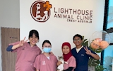 Lighthouse Animal Clinic and the Care That Speaks with Purpose