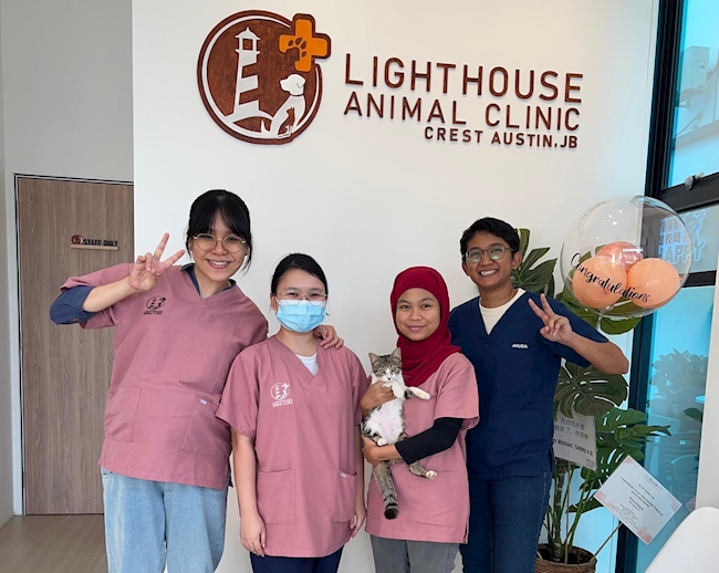 Lighthouse Animal Clinic and the Care That Speaks with Purpose