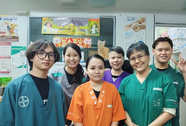 Jean Veterinary Centre Building Trust with Every Step Forward