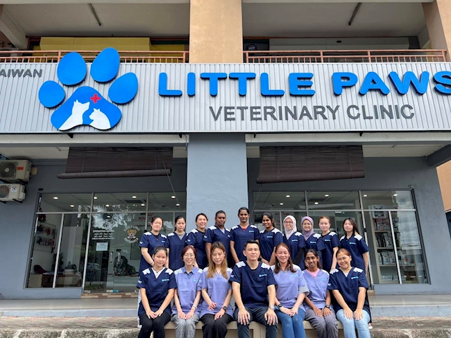 When the Team Embraces Change: Little Paws Veterinary Clinic with Kreloses