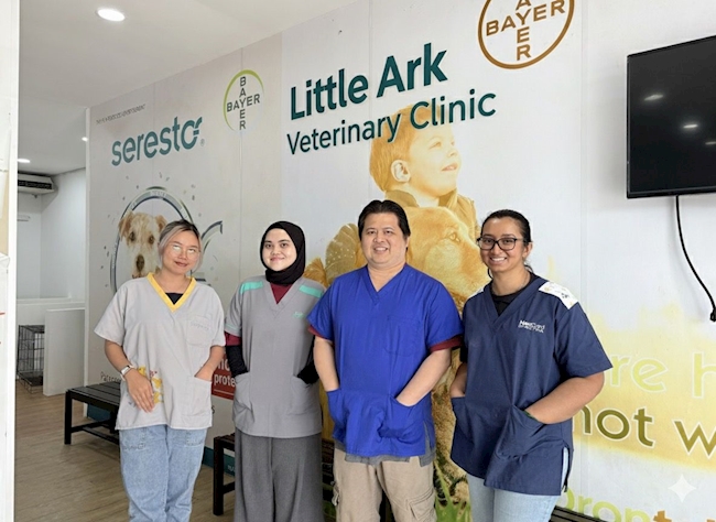 Little Ark Veterinary Clinic: Moving Forward with Purpose