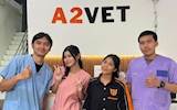 A2 Vet Menghadirkan Pengalaman Klinik yang Tertata dengan Kreloses