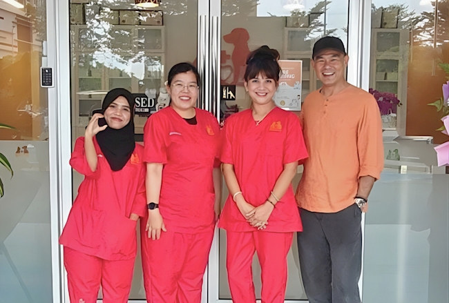 Opening Day In Sync: CC Veterinary Care & Surgery with Kreloses