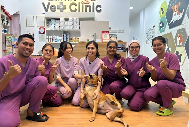 Lukut Veterinary Clinic: From Bookings to Patient Care, Made Simple
