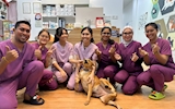 Lukut Veterinary Clinic: From Bookings to Patient Care, Made Simple