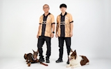 Obedience Dog Training Penang: A Growing Force in Pet Care