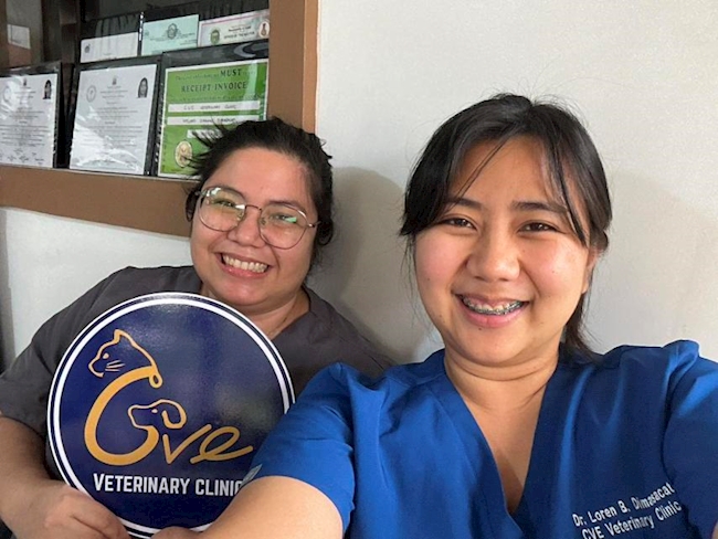 C.V.E. Veterinary Clinic: Early Digital Wins for a Growing Vet Practice