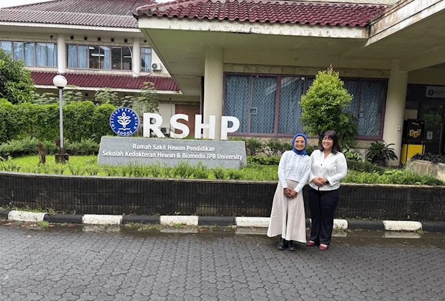 Implementasi Sistem Manajemen Modern dalam Optimalisasi Layanan Pendidikan Veteriner RSHP SKHB IPB University