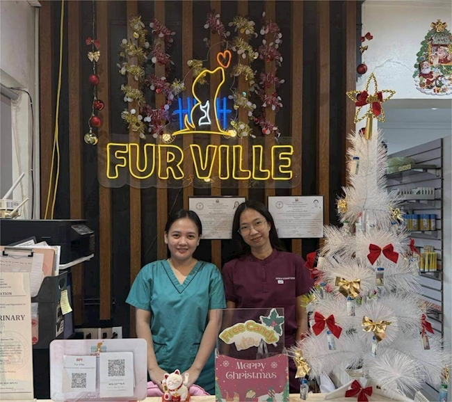 Supporting Accuracy in Veterinary Practice at Furville Veterinary Clinic