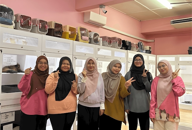 Cats Nanny Strengthens Service Management through Digital Transformation