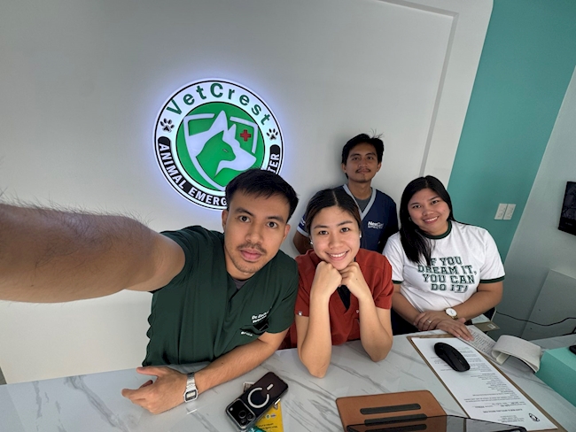 When Every Second Matters: Inside VetCrest Animal Emergency Center