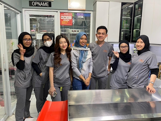 THB Veterinary Clinic: Langkah Praktis Menuju Operasional yang Lebih Terintegrasi