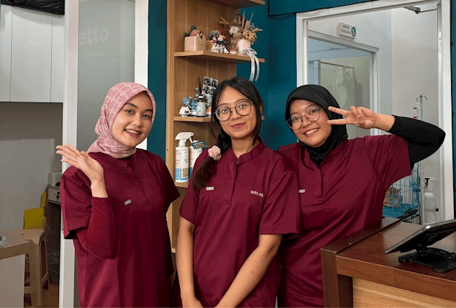 Meningkatkan Kendali Operasional Klinik Hewan Secara Digital di Gepetto Pet Shop & Dokter Hewan