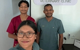 Animal Paradise Veterinary Clinic: A Journey of Growth