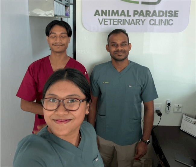 Animal Paradise Veterinary Clinic: A Journey of Growth
