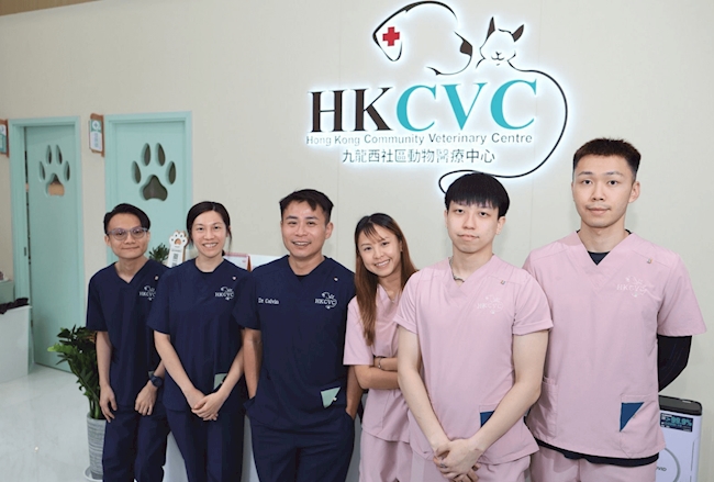 Establishing Operational Consistency at Hong Kong Community Veterinary Centre