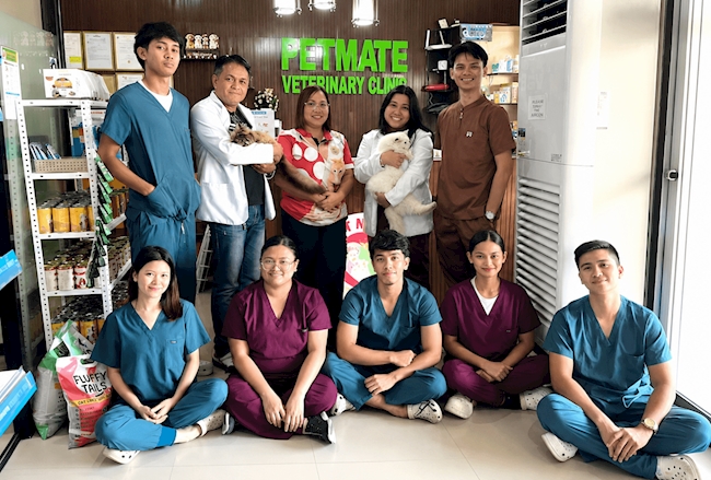 Petmate Veterinary Clinic: Building a More Organised Digital Workflow