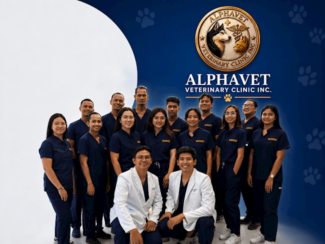 A Digital Beginning for AlphaVet Veterinary Clinic Inc.