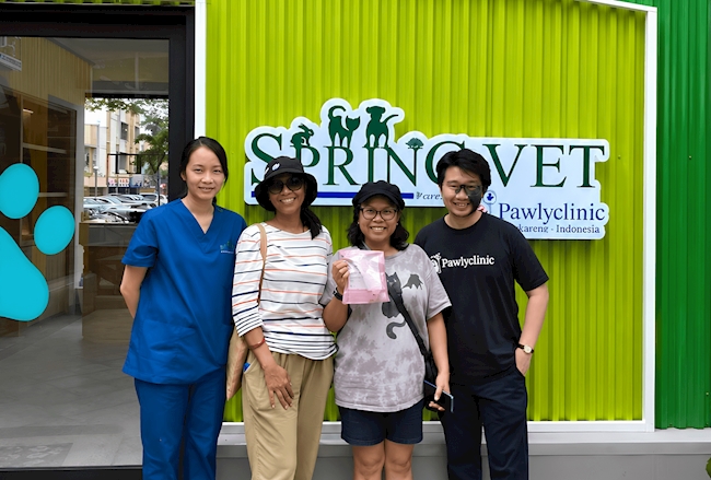 Spring Vet Indonesia Menghubungkan Informasi Penting dalam Operasional Klinik