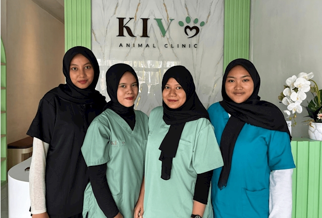 Kive Animal Clinic: Membawa Pengelolaan Data Klinik ke Sistem yang Lebih Terpusat