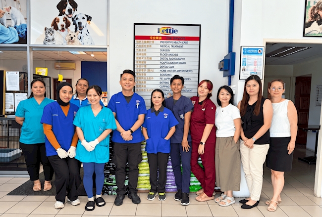 Bettie Veterinary Clinic & Surgery: Supporting Veterinary Care Through Simple Workflows