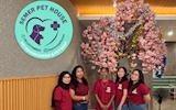 Semer Pet House Badung dan Langkah Awal Pengelolaan Klinik yang Terintegrasi