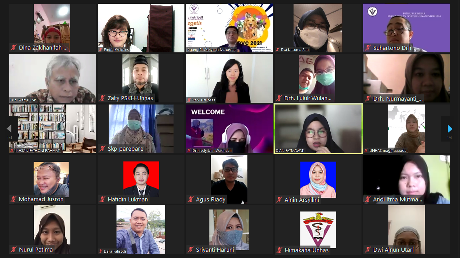 A screenshot of some of the participants during the online seminar.