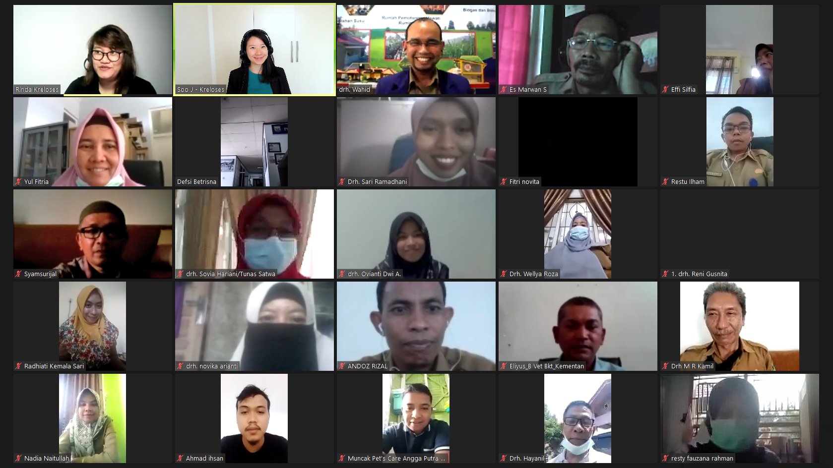 A screenshot of some of the participants during the webinar with PDHI Sumatera Barat.