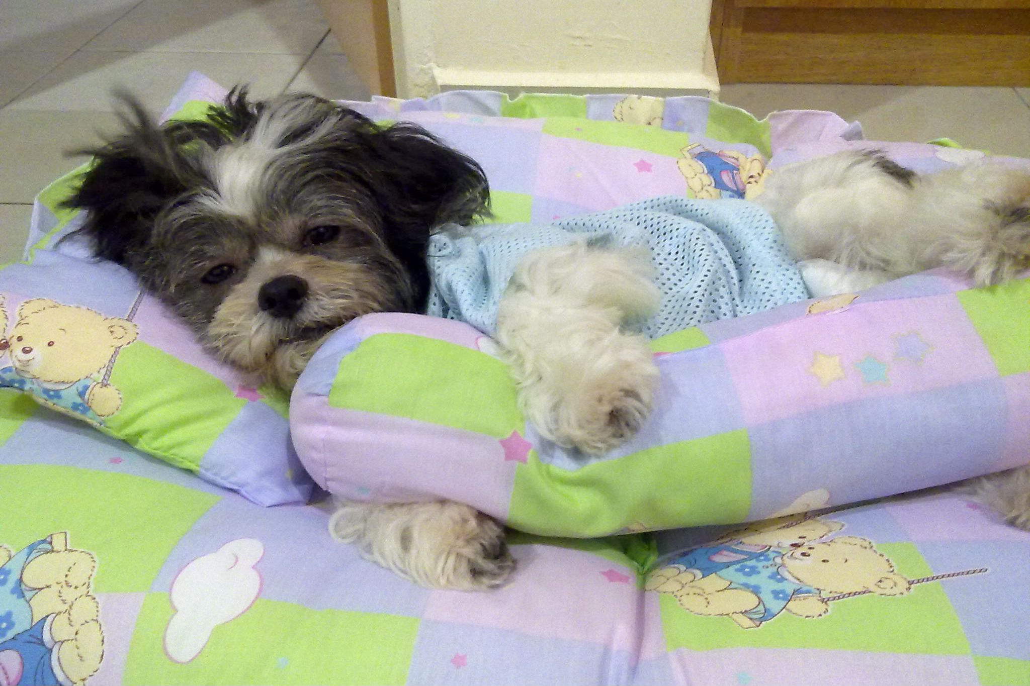 Baby has a different bed in each of our rooms because, as you can tell from her face, our princess is already tired at 2 years old. Though, most of the times, she prefers our bed over her own.
