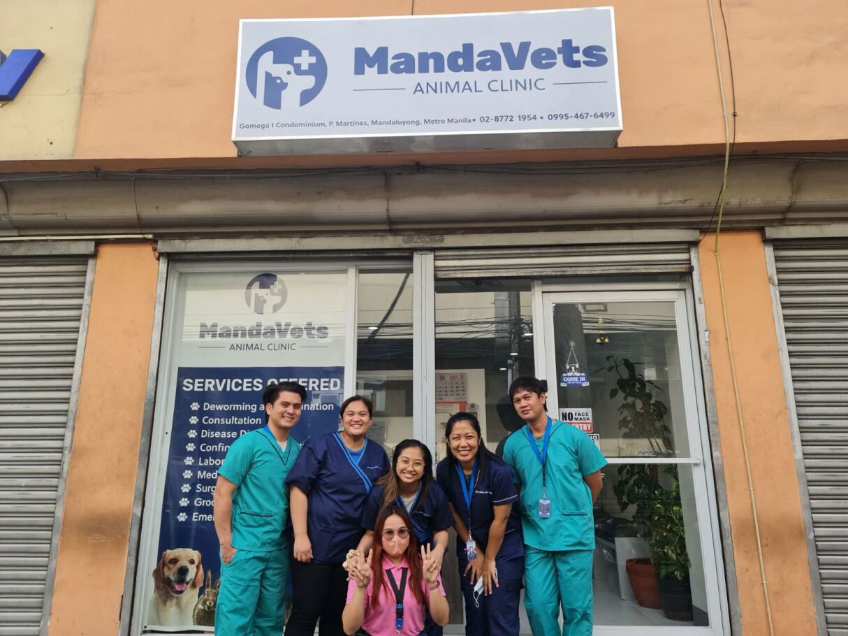 Team Photo of Mandavets Animal Clinic 