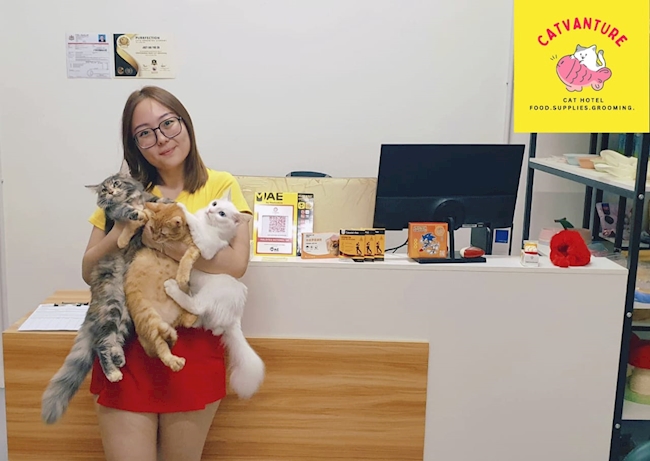 More Than Just Pet Care, It’s a Seamless Experience with Catvanture
