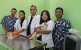 Dari Kupang untuk Hewan Tersayang: Grace Vetcare dan Langkah Nyatanya